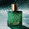 Product Uomo Verde Assoluto Eau De Parfum 100ml thumbnail image