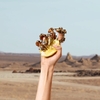 Product Q by Dolce & Gabbana Eau De Parfum 50ml thumbnail image