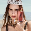 Product Q by Dolce & Gabbana Eau De Parfum 50ml thumbnail image