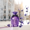 Product Dolce Violet Eau De Toilette 50ml thumbnail image