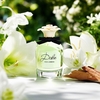Product Dolce Eau De Parfum 50ml thumbnail image