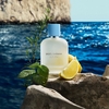 Product Light Blue Pour Homme Eau De Toilette 50ml thumbnail image