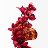 Product La Bomba Intensa Eau De Parfum 30ml thumbnail image