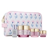 Product The Radiance Routine Resilience Multi-Effect Set thumbnail image