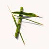 Product Un.Tangled Leave-In Conditioner 150ml thumbnail image