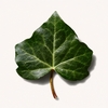 Product Staying.Alive Leave-In Treatment 150ml thumbnail image