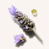 Product Anti.Gravity.Spray Weightless Volume Spray 150ml thumbnail image
