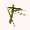 Product Leave-In.Repair Nourishing Leave-In Treatment 200ml thumbnail image