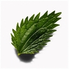 Product Thick.Again Leave-In Thickening Treatment For Thinning Hair 100ml thumbnail image