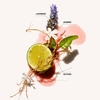 Product Easy.Rider Defining Anti Frizz Crème 100g thumbnail image