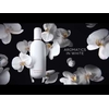 Product Clinique Aromatics In White Eau De Parfume 100ml thumbnail image
