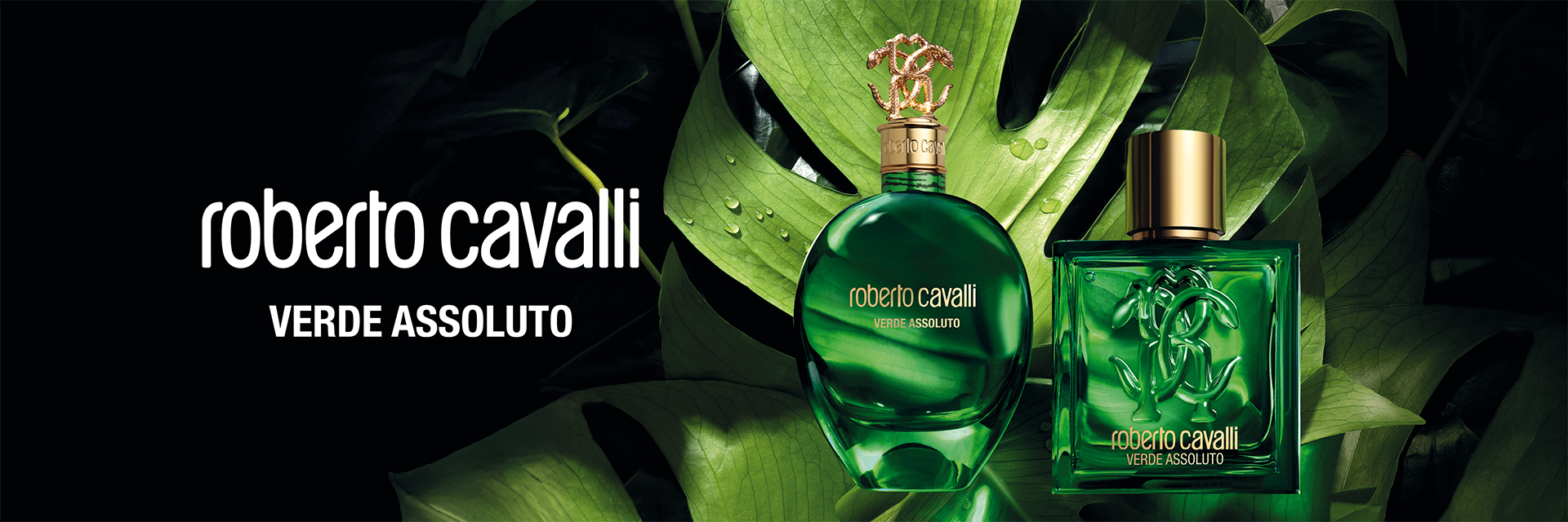 Roberto cavalli