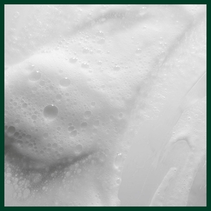 Scalp Solutions Balancing Shampoo 200ml