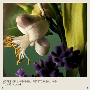 Abundant Blowout All Over Volumizing Spray 30ml