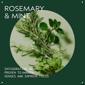 Invigorating Awe Rosemary Mint Hair & Body Essentials Set