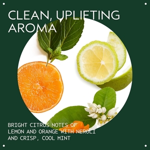 Scalp Solutions Balancing Essentials Set