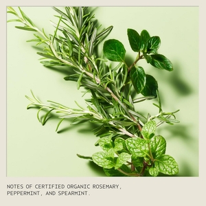 Light The Way™ Vegan Soy Wax Candle With Rosemary Mint Aroma 125g