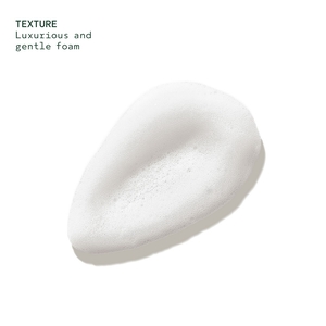 Shampure™ Foaming Hand Wash 240ml