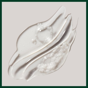 Rosemary Mint Purifying Shampoo 50ml