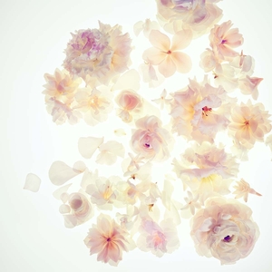 Gorgeous! Eau De Parfum 100ml