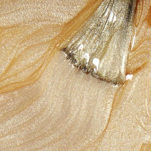 OPI Infinite Enter the Golden Era 15ml Enter The Golden Era