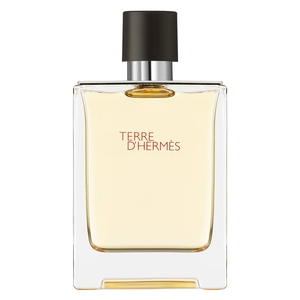 Product Terre d'Hermès Eau De Toilette 100ml base image