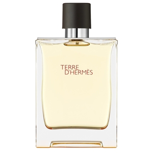 Product Terre d'Hermès Eau De Toilette 200ml base image