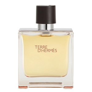 Product Terre d'Hermès Parfum 75ml base image