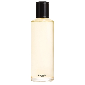 Product Terre d'Hermès Eau De Parfum Intense Refill 200ml base image