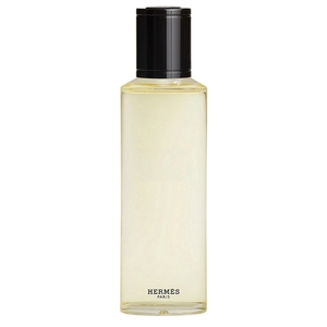 Product Terre d'Hermès Eau Givrée Eau De Parfum - Refill 200ml base image