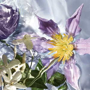 Aqua Allegoria Flora Salvaggia Eau De Toilette 75ml