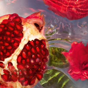 Aqua Allegoria Granada Salvia Eau De Toilette 75ml