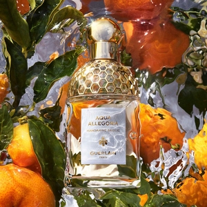 Aqua Allegoria Mandarine Basilic Eau De Toilette 75ml