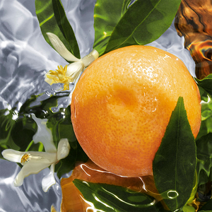 Aqua Allegoria Pamplelune Eau De Toilette 75ml