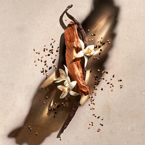 Zadig Eau De Parfum 90ml