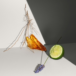 Defy Deodorant Stick 75ml