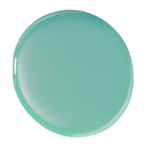 Gel-Like High Performance Nail Color 43 13ml