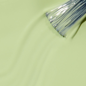 Tokyo Collection Nail Lacquer 15ml How Does Your Zen Garden Grow