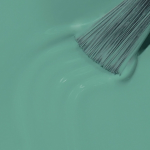 Tokyo Collection Nail Lacquer 15ml I m On A Sushi Roll