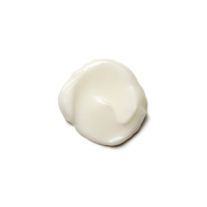 Smoothing Conditioner 70ml