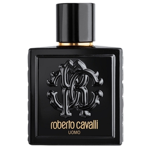 Product Roberto Cavalli Uomo Eau De Toilette 100ml base image