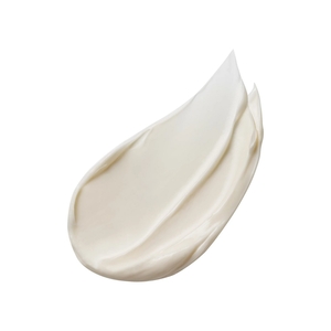 Advanced Night Repair Overnight Treatment 65ml