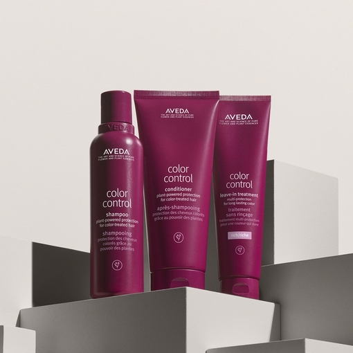 Product Color Control™ Leave In Rich 150ml base image