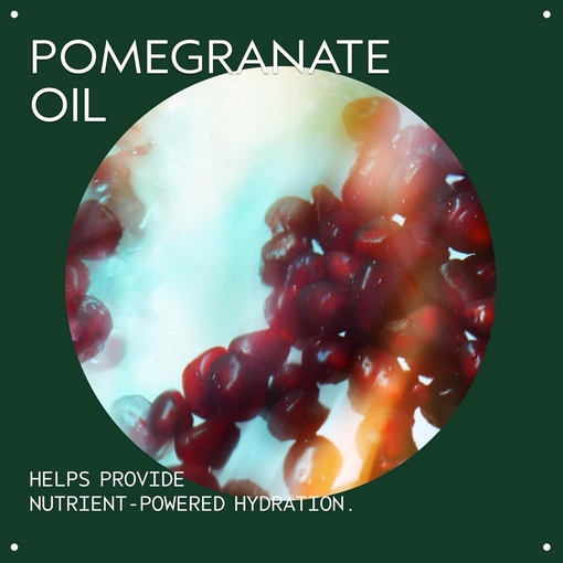 Product Nutriplenish™ Leave In Conditioner Spray 30ml base image