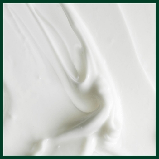 Product Scalp Solutions Replenishing Conditioner 200ml base image