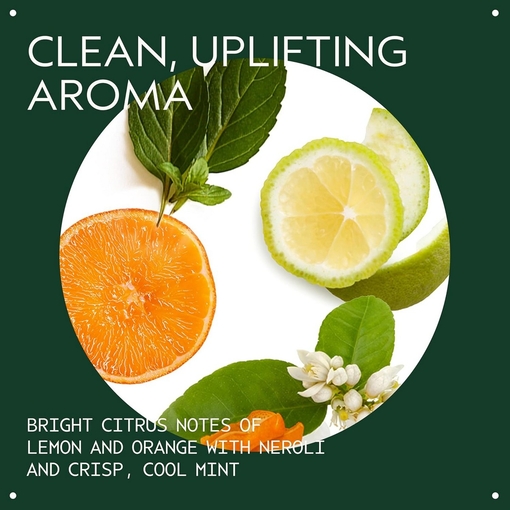 Product Scalp Solutions Replenishing Conditioner 200ml base image