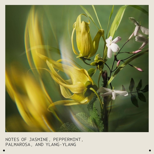 Product Pure Abundance™ Volumizing Style-Prep 100ml base image