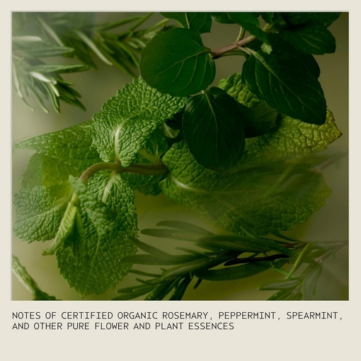 Product Rosemary Mint Foaming Hand Wash 240ml base image
