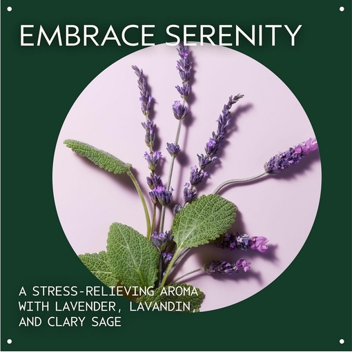 Product Stress-Fix™ Concentrate Rollerball Essential Oil 7ml base image