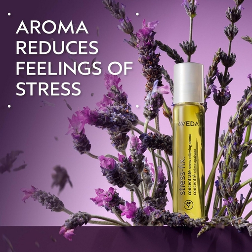 Product Stress-Fix™ Concentrate Rollerball Essential Oil 7ml base image
